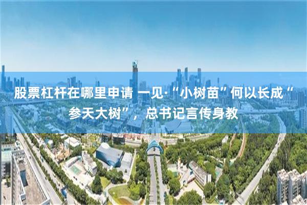 股票杠杆在哪里申请 一见·“小树苗”何以长成“参天大树”，总书记言传身教