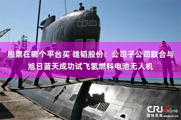 股票在哪个平台买 雄韬股份：公司子公司联合与旭日蓝天成功试飞氢燃料电池无人机