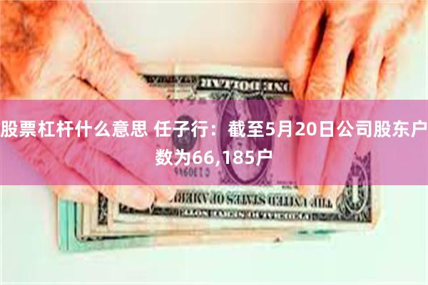 股票杠杆什么意思 任子行：截至5月20日公司股东户数为66,185户