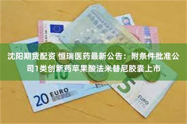 沈阳期货配资 恒瑞医药最新公告：附条件批准公司1类创新药苹果酸法米替尼胶囊上市