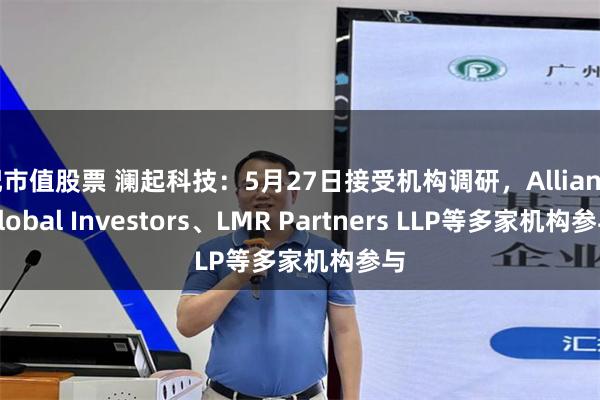 配市值股票 澜起科技：5月27日接受机构调研，Allianz Global Investors、LMR Partners LLP等多家机构参与