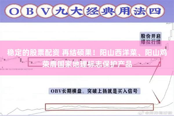 稳定的股票配资 再结硕果！阳山西洋菜、阳山鸡荣膺国家地理标志保护产品