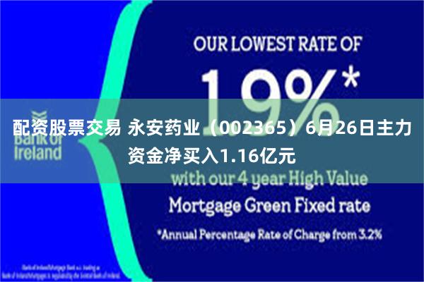 配资股票交易 永安药业（002365）6月26日主力资金净买入1.16亿元
