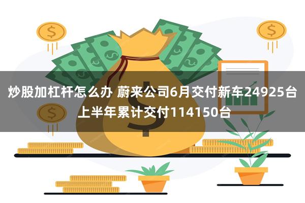 炒股加杠杆怎么办 蔚来公司6月交付新车24925台 上半年累计交付114150台