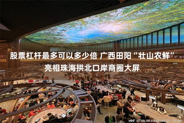 股票杠杆最多可以多少倍 广西田阳“壮山农鲜”亮相珠海拱北口岸商圈大屏