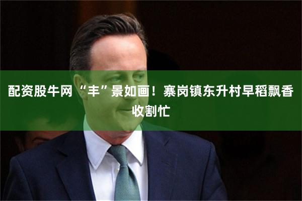 配资股牛网 “丰”景如画！寨岗镇东升村早稻飘香收割忙