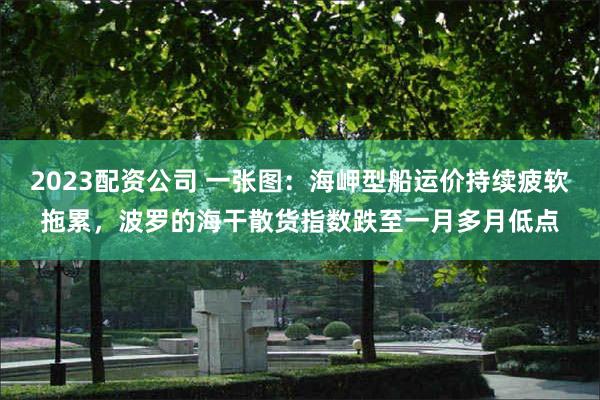 2023配资公司 一张图：海岬型船运价持续疲软拖累，波罗的海干散货指数跌至一月多月低点