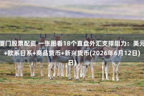 厦门股票配资 一张图看18个直盘外汇支撑阻力：美元+欧系日系+商品货币+新兴货币(2026年6月12日)
