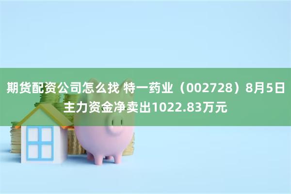 期货配资公司怎么找 特一药业（002728）8月5日主力资金净卖出1022.83万元