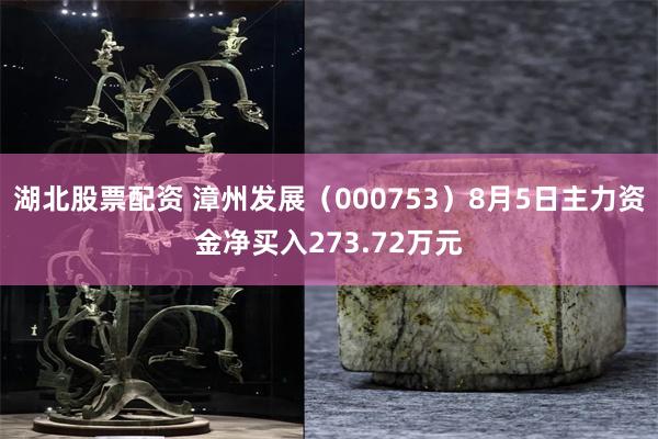 湖北股票配资 漳州发展（000753）8月5日主力资金净买入273.72万元