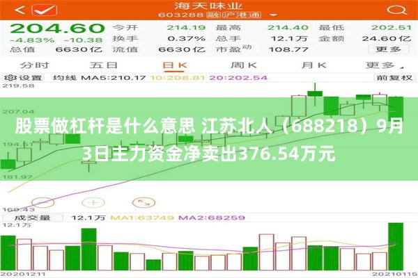 股票做杠杆是什么意思 江苏北人（688218）9月3日主力资金净卖出376.54万元
