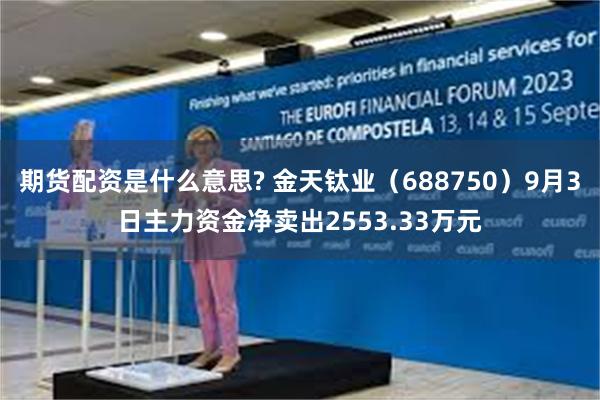 期货配资是什么意思? 金天钛业（688750）9月3日主力资金净卖出2553.33万元
