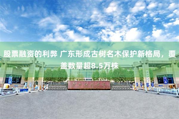 股票融资的利弊 广东形成古树名木保护新格局，覆盖数量超8.5万株
