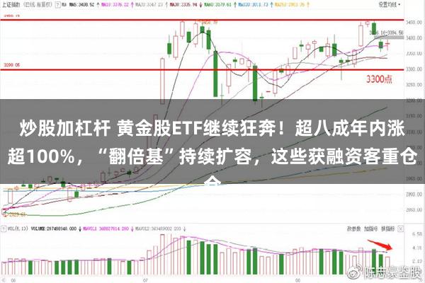 炒股加杠杆 黄金股ETF继续狂奔！超八成年内涨超100%，“翻倍基”持续扩容，这些获融资客重仓