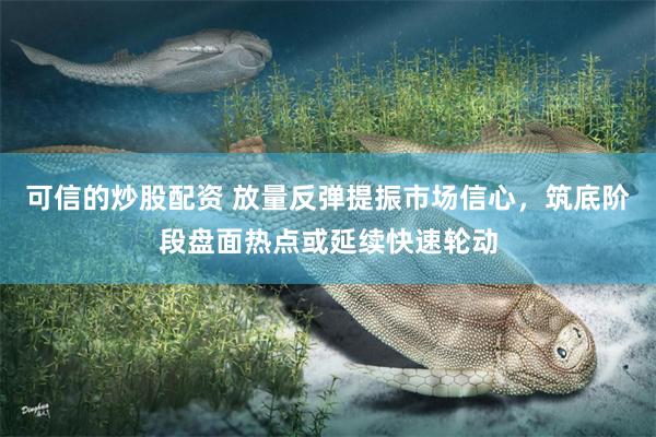 可信的炒股配资 放量反弹提振市场信心,筑底阶段盘面热点或延续快速轮动