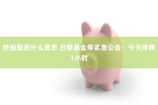 炒股配资什么意思 白银基金等紧急公告：今天停牌1小时
