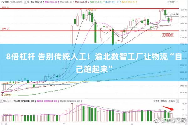 8倍杠杆 告别传统人工！渝北数智工厂让物流“自己跑起来”