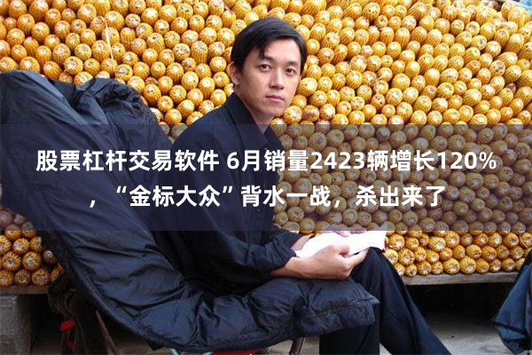 股票杠杆交易软件 6月销量2423辆增长120%，“金标大众”背水一战，杀出来了