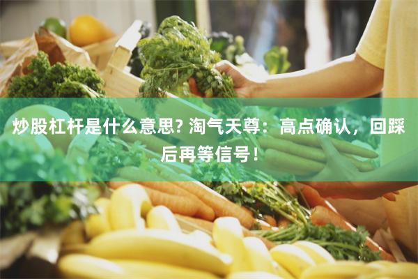 炒股杠杆是什么意思? 淘气天尊：高点确认，回踩后再等信号！
