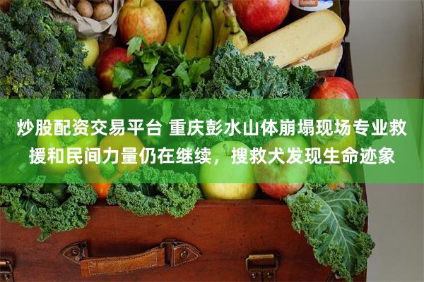炒股配资交易平台 重庆彭水山体崩塌现场专业救援和民间力量仍在继续,搜救犬发现生命迹象