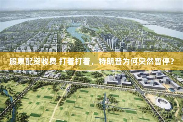股票配资收费 打着打着，特朗普为何突然暂停？