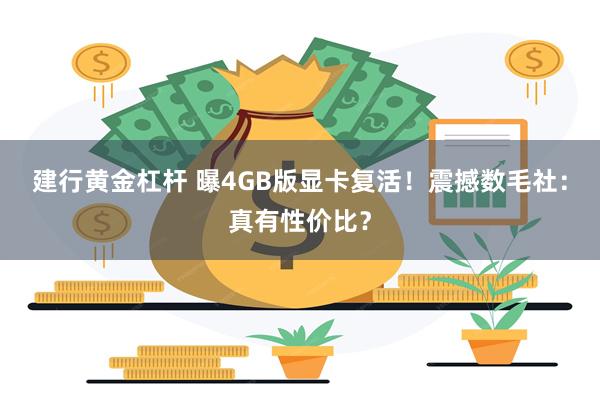 建行黄金杠杆 曝4GB版显卡复活!震撼数毛社:真有性价比?