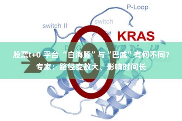 股票t+0 平台 “白海豚”与“巴威”有何不同？专家：路径变数大、影响时间长