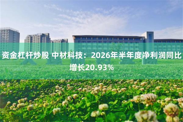 资金杠杆炒股 中材科技：2026年半年度净利润同比增长20.93%