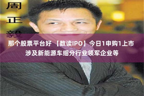 那个股票平台好 【数读IPO】今日1申购1上市 涉及新能源车细分行业领军企业等