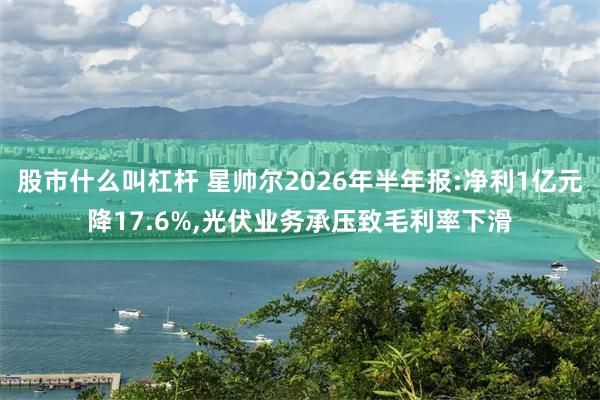股市什么叫杠杆 星帅尔2026年半年报:净利1亿元降17.6%,光伏业务承压致毛利率下滑