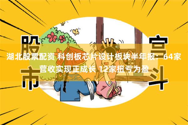 湖北股票配资 科创板芯片设计板块半年报：64家营收实现正成长 12家扭亏为盈