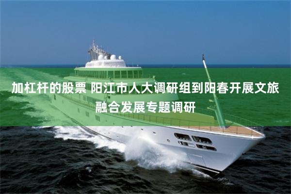 加杠杆的股票 阳江市人大调研组到阳春开展文旅融合发展专题调研
