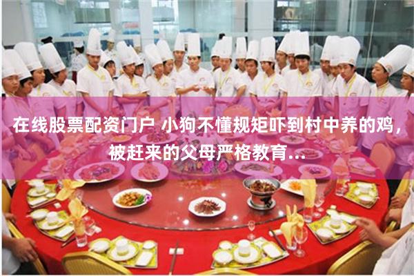 在线股票配资门户 小狗不懂规矩吓到村中养的鸡，被赶来的父母严格教育...