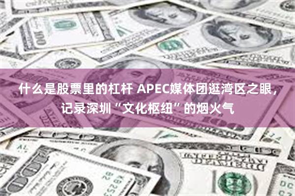 什么是股票里的杠杆 APEC媒体团逛湾区之眼，记录深圳“文化枢纽”的烟火气