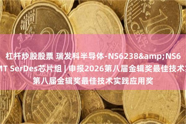 杠杆炒股股票 瑞发科半导体-NS6238&NS6139S/HSMT SerDes芯片组 | 申报2026第八届金辑奖最佳技术实践应用奖