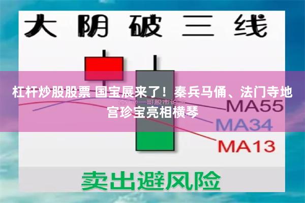 杠杆炒股股票 国宝展来了！秦兵马俑、法门寺地宫珍宝亮相横琴