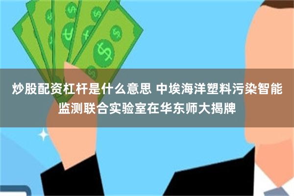 炒股配资杠杆是什么意思 中埃海洋塑料污染智能监测联合实验室在华东师大揭牌