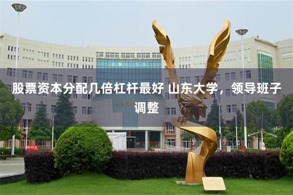 股票资本分配几倍杠杆最好 山东大学，领导班子调整