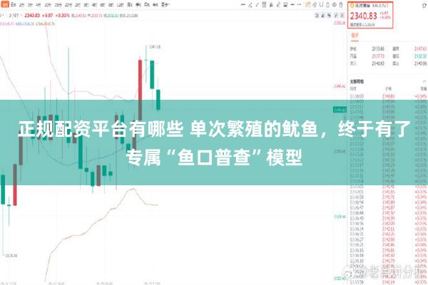 正规配资平台有哪些 单次繁殖的鱿鱼,终于有了专属“鱼口普查”模型