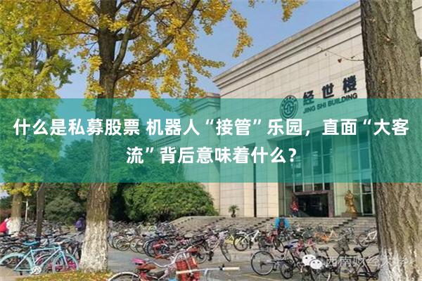 什么是私募股票 机器人“接管”乐园，直面“大客流”背后意味着什么？