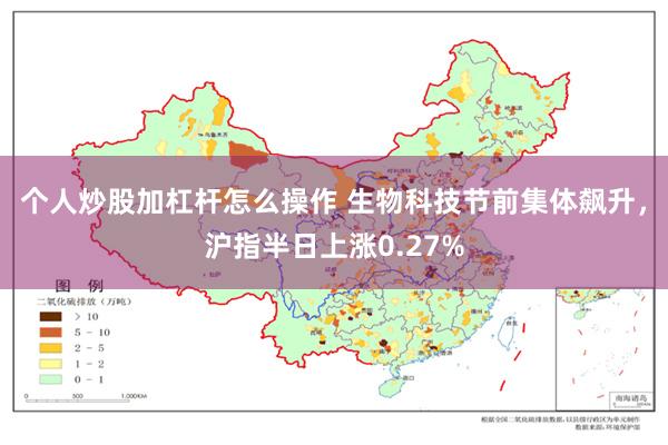 个人炒股加杠杆怎么操作 生物科技节前集体飙升，沪指半日上涨0.27%