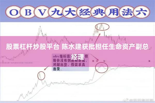 股票杠杆炒股平台 陈水建获批担任生命资产副总经理
