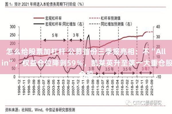 怎么给股票加杠杆 公募首份三季报亮相：不“All in”，权益仓位降到59％，凯莱英升至第一大重仓股
